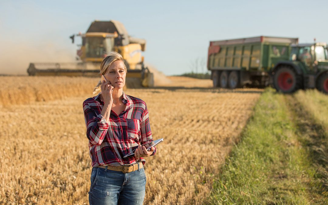 Rain Makes Grain — Until it Doesn’t