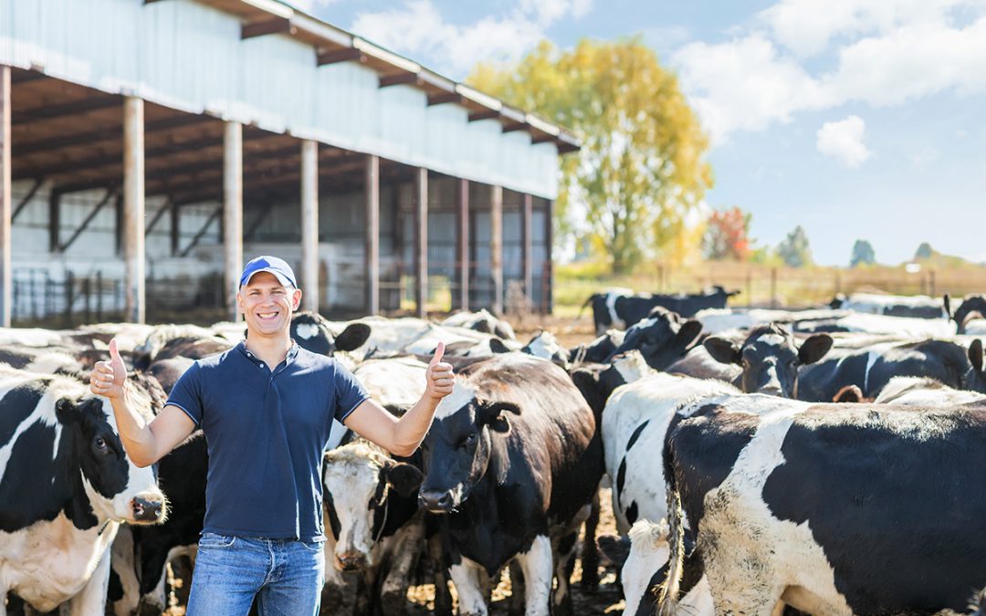 Dairy Structure Management Overhaul Moves Into New Phase