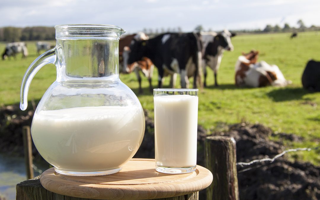 National Farmers Urges Federal Milk Market Order Reform