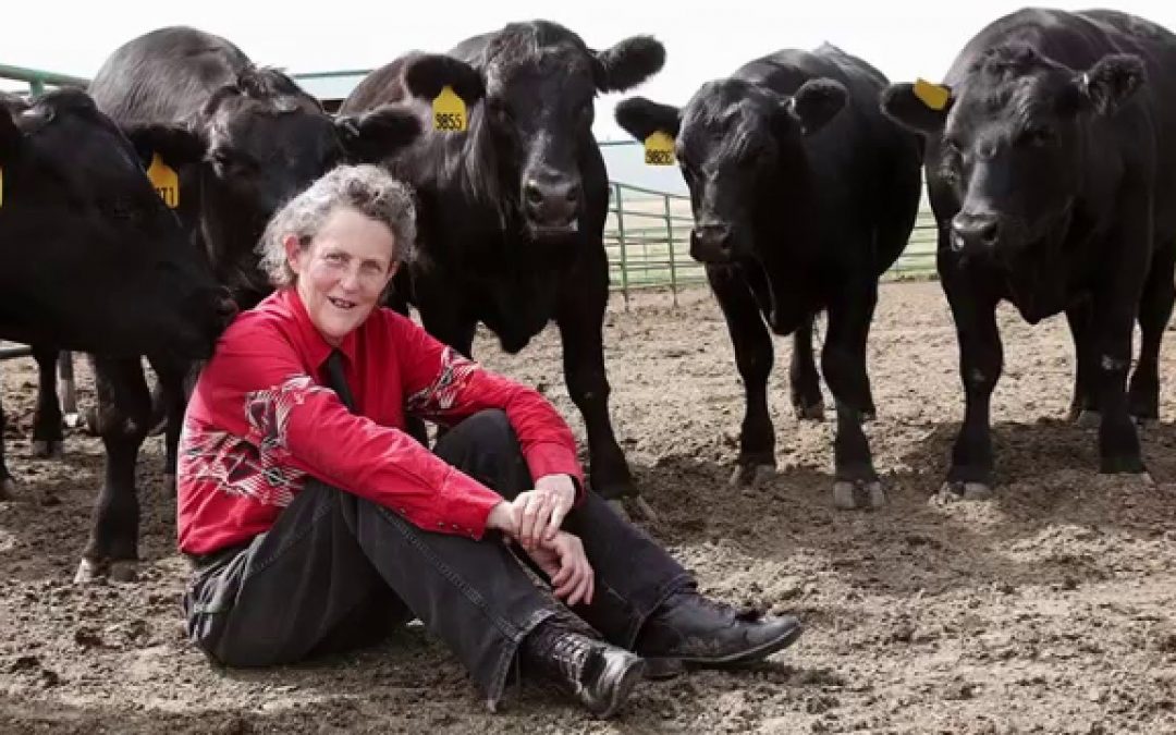 Temple Grandin Talks Stockmanship, Genetic Selection at National Farmers’ Convene ’19 Cattle Care and Contracting Today Workshop