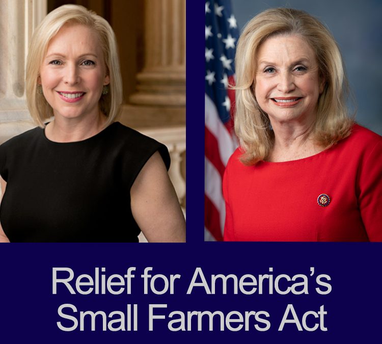 National Farmers Endorses New York Senator Gillibrand’s, Congresswoman Maloney’s Relief for America’s Small Farmers Act