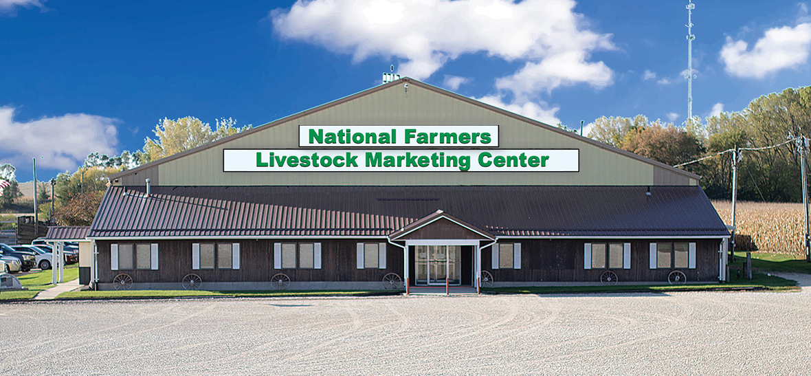 Manchester Iowa Livestock Marketing Center