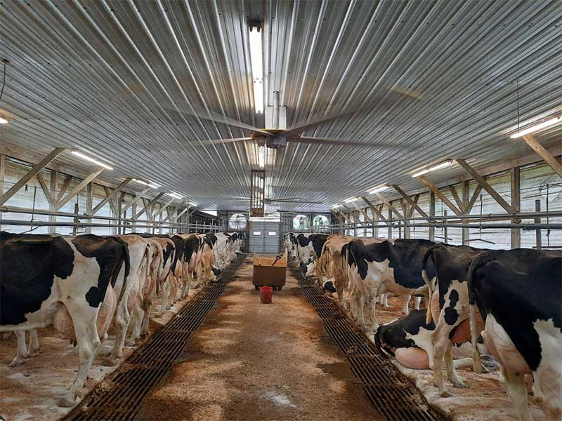 National Farmers - Dairy Division National Farmers - Dairy Division