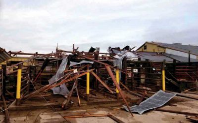 Manchester, Iowa, Branden, Wisconsin Marketing Centers Damaged