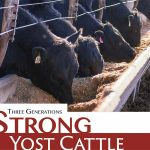 National Farmers - Yost Cattle