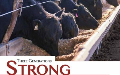 Three Generations Strong – Yost Cattle