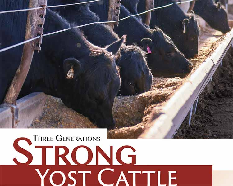 Three Generations Strong – Yost Cattle