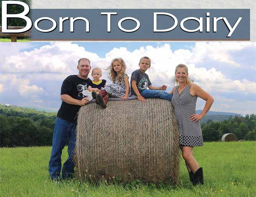 Born to Dairy