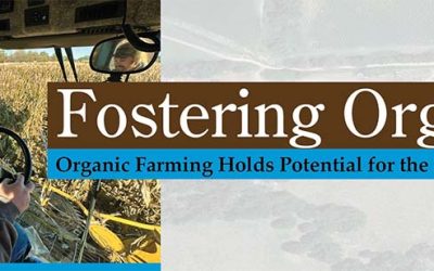 Fostering Organics