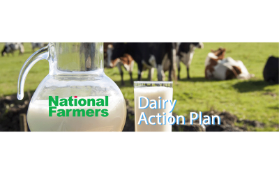 Dairy Action Plan