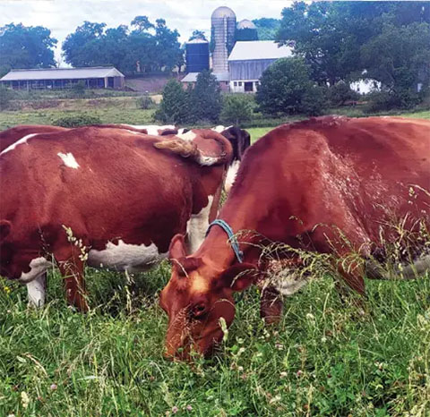 National Farmers - ASA Insurance National Farmers - ASA Insurance