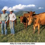National Farmers - Gliko Family