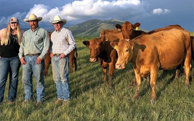 Montana’s Mountain View