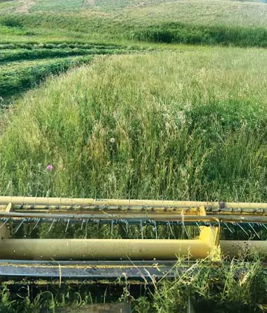 National Farmers - Gliko Family