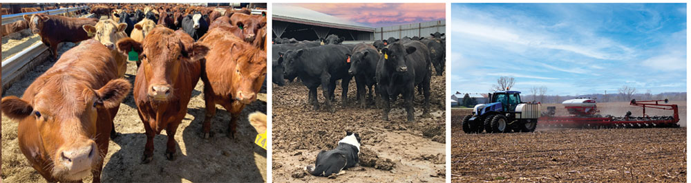 National Farmers - Nieman Family