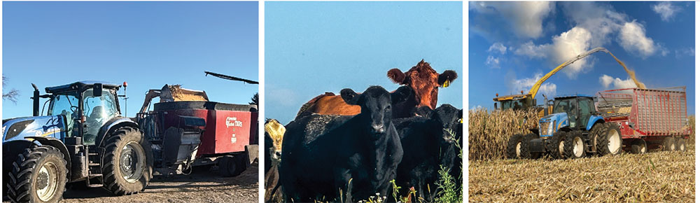 National Farmers - Nieman Family