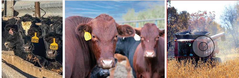 National Farmers - Nieman Family