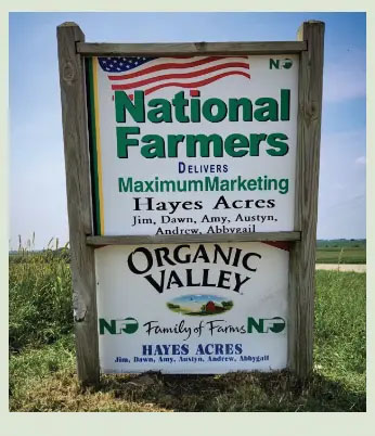 National Farmers Latest - Olson, Hayes Announce Bid for President, Vice President