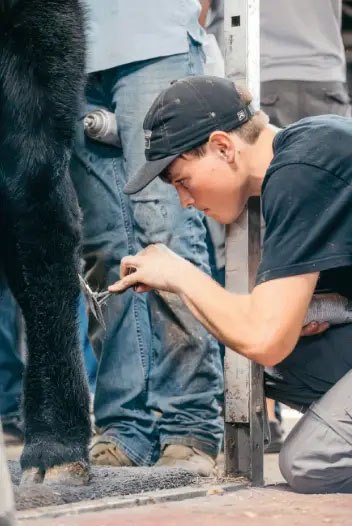 Farm Kids for College - Drew Totemeier