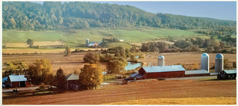 National Farmers - Trinity Valley