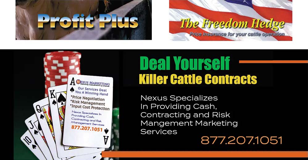 National Farmers - Cattle Marketing Signals