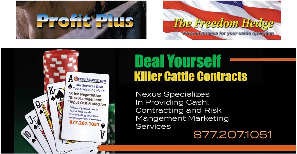 National Farmers - Cattle Marketing Signals